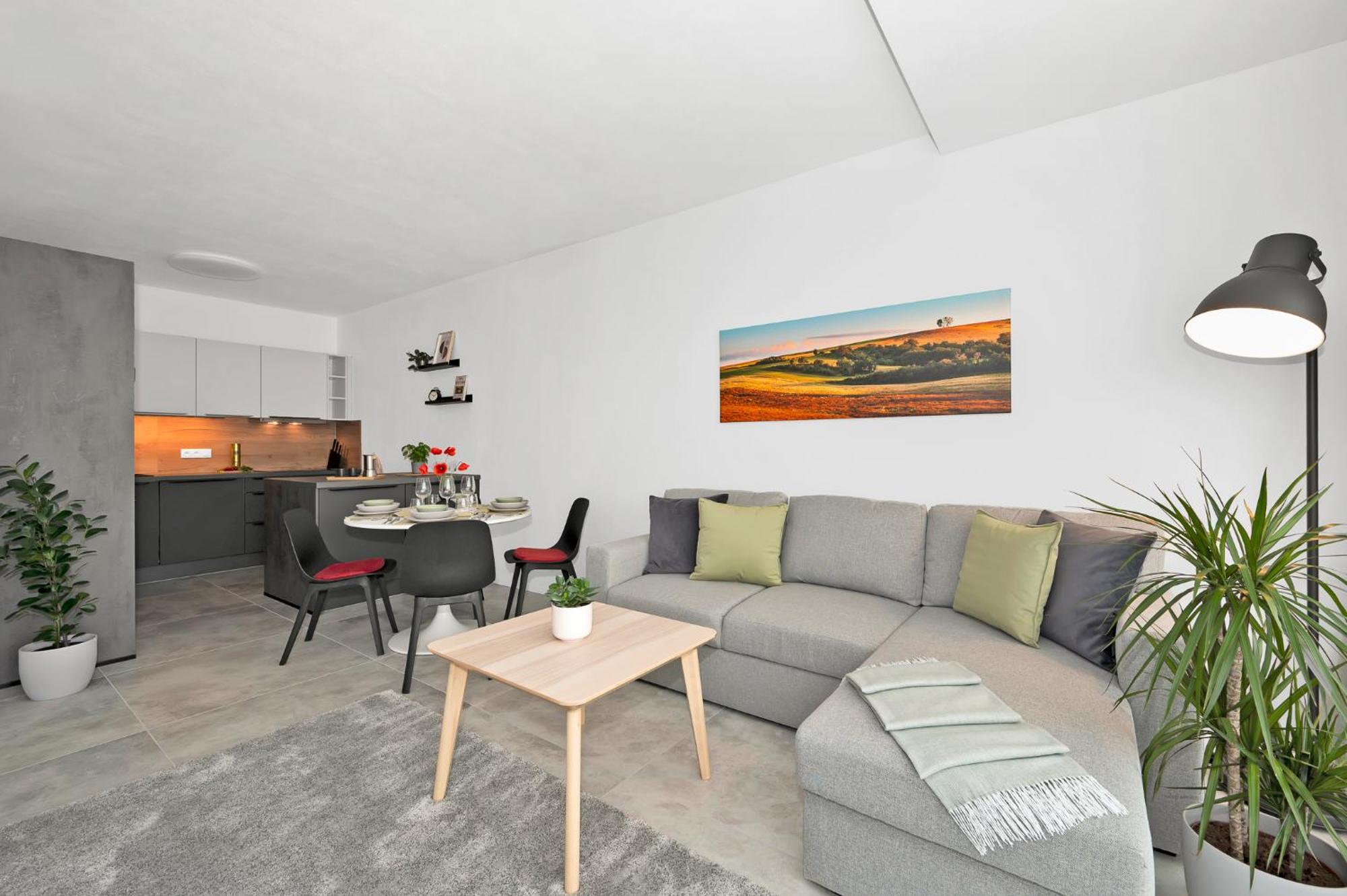 Fully Equipped Apartments With Terraces, Free Garage Parking, Netflix & Ac - By Apartmany Slapanice Cz Экстерьер фото